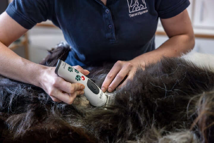 AESCULAP Akkuschermaschine Vega